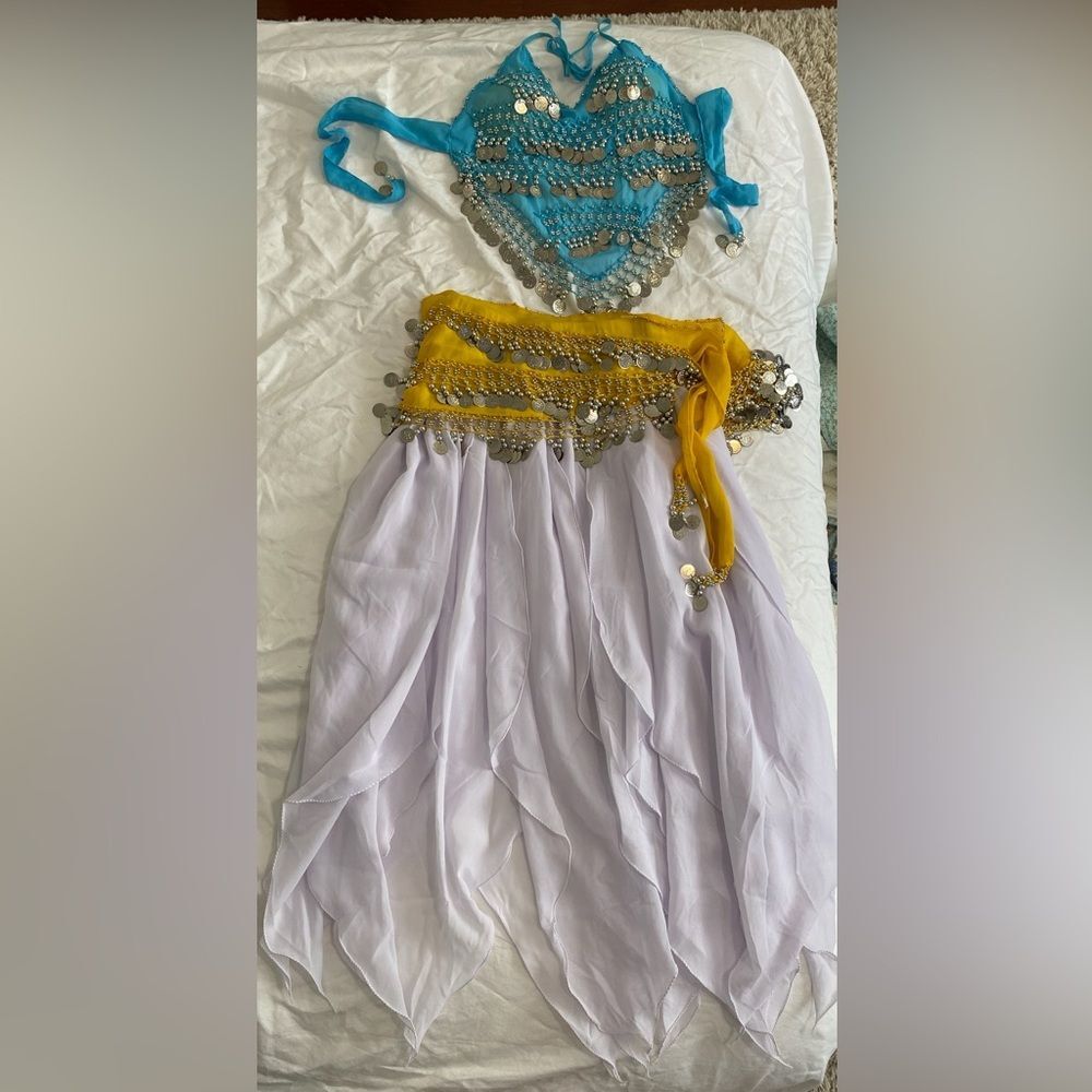 Belly Dance Outfit